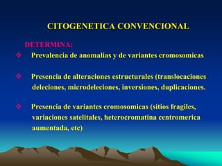 CITOGENETICA CONVENCIONAL
DETERMINA:
 Prevalencia de anomalias y de variantes cromosomicas
 Presencia de alteraciones estructurales (translocaciones
deleciones, microdeleciones, inversiones, duplicaciones.
 Presencia de variantes cromosomicas (sitios fragiles,
variaciones satelitales, heterocromatina centromerica
aumentada, etc)
 
