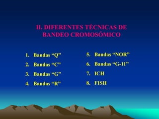 1. Bandas “Q”
2. Bandas “C”
3. Bandas “G”
4. Bandas “R”
5. Bandas “NOR”
6. Bandas “G-11”
7. ICH
8. FISH
II. DIFERENTES TÉCNICAS DE
BANDEO CROMOSÓMICO
 