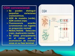CGH convencional:
 Se pueden distinguir
pequeñas variaciones
cromosómicas.
 ADN de muestra (verde),
ADN control (rojo)
 Fluorescencia amarilla
(cromosomas con lugares
en proporción normal)
 RESULTADOS: Delección
(rojo), duplicación (verde)
 Se utiliza principalmente
en el cáncer por la
acumulación de cromos-
omas en su fase terminal.
 