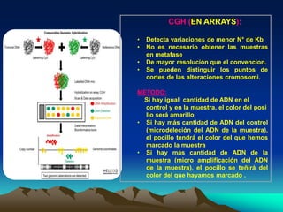 CGH (EN ARRAYS):
• Detecta variaciones de menor N° de Kb
• No es necesario obtener las muestras
en metafase
• De mayor resolución que el convencion.
• Se pueden distinguir los puntos de
cortes de las alteraciones cromosomi.
METODO:
Si hay igual cantidad de ADN en el
control y en la muestra, el color del posi
llo será amarillo
• Si hay más cantidad de ADN del control
(microdeleción del ADN de la muestra),
el pocillo tendrá el color del que hemos
marcado la muestra
• Si hay más cantidad de ADN de la
muestra (micro amplificación del ADN
de la muestra), el pocillo se teñirá del
color del que hayamos marcado .
 