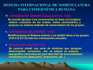 SISTEMA INTERNACIONAL DE NOMENCLATURA
PARA CITOGENÉTICA HUMANA
 CONGRESO DE DENVER (Colorado EE.UU. 1,960:
Se acordó agrupar a los cromosomas en base a la longitud
relativa cuociente de los brazos, índice centromérico y
propuso un sistema estándar de nomenclatura de los grupos.
 CONFERENCIA DE LONDRES 1,963 :
Modificaciones al Sistema anterior y se añadió letras a los gurpos
(A,B.C.D.E.F.G) más los cromosomas sexuales.
 REUNIÓN EN CHICAGO 1,966 :
Se convino añadir una serie de símbolos que designan
determinados caracteres. Así se adoptó un sistema
taquigráfico (abreviaturas) para describir las anormalidades
cromosómicas (deleciones, inversiones ,etc. )
 