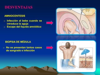 DESVENTAJAS
AMNIOCENTESIS
o Infección al bebe cuando se
introduce la aguja
o Escape del líquido amniótico
BIOPSIA DE MÉDULA
o No se presentan tantos casos
de sangrado e infección
 