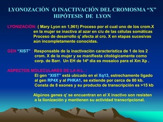 LYONOZACIÒN O INACTIVACIÓN DEL CROMOSMA “X”
HIPÓTESIS DE LYON
LYONIZACIÓN: ( Mary Lyon en 1,961) Proceso por el cual uno de los crom.X
en la mujer se inactiva al azar en c/u de las células somáticas
Proceso de desarrollo q’ afecta al cro. X en etapas sucesivas
aún incompletamente conocidas.
GEN “XIST” : Responsable de la inactivación característica de 1 de los 2
crom. X de la mujer y se manifiesta citológicamente como
corp. de Barr. Un EH de 14º día es mosaico para el Xm Xp .
ASPECTOS MOLECULARES DE LA H.L. :
El gen “XIST” está ubicado en el Xq13, estrechamente ligado
al gen RP4X y al PHKA1, se extiende por cerca de 80 kb.
Consta de 8 exones y su producto de transcripción es >15 kb
Algúnos genes q’ se encuentran en el X inactivo son resisten
a la lionización y mantienen su actividad transcripcional.
 