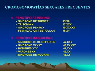 CROMOSOMOPATÍAS SEXUALES FRECUENTES
 FENOTIPO FEMENINO:
- SINDROME DE TURNER 45,X0
- TRISOMIA X 47,XXX
- SINDROME PENTA X 49,XXXXX
- FEMINIZACION TESTICULAR 46,XY
 FENOTIPO MASCULINO:
- SINDROME DE KLINEFELTER 47,XXY
- SINDROME XXXXY 49,XXXXY
- HOMBRES XYY 47,XYY
- VARONES XX 46,XX
- SINDROME DE NOONAN 46,XY
 