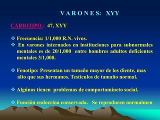 V A R O N E S: XYY
CARIOTIPO : 47, XYY
 Frecuencia: 1/1,000 R.N. vivos.
 En varones internados en instituciones para subnormales
mentales es de 20/1,000 entre hombres adultos deficientes
mentales 3/1,000.
 Fenotipo: Presentan un tamaño mayor de los diente, mas
alto que sus hermanos. Testículos de tamaño normal.
 Algúnos tienen problemas de comportamineto social.
 Función endocrina conservada. Se reproducen normalmen
 