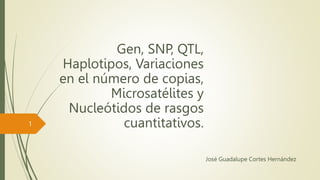 Gen, SNP, QTL,
Haplotipos, Variaciones
en el número de copias,
Microsatélites y
Nucleótidos de rasgos
cuantitativos.
José Guadalupe Cortes Hernández
1
 