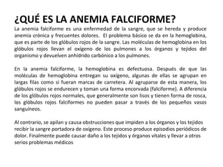 ¿QUÉ ES LA ANEMIA FALCIFORME?
La anemia falciforme es una enfermedad de la sangre, que se hereda y produce
anemia crónica y frecuentes dolores. El problema básico se da en la hemoglobina,
que es parte de los glóbulos rojos de la sangre. Las moléculas de hemoglobina en los
glóbulos rojos llevan el oxígeno de los pulmones a los órganos y tejidos del
organismo y devuelven anhídrido carbónico a los pulmones.
En la anemia falciforme, la hemoglobina es defectuosa. Después de que las
moléculas de hemoglobina entregan su oxígeno, algunas de ellas se agrupan en
largas filas como si fueran marcas de carretera. Al agruparse de esta manera, los
glóbulos rojos se endurecen y toman una forma encorvada (falciforme). A diferencia
de los glóbulos rojos normales, que generalmente son lisos y tienen forma de rosca,
los glóbulos rojos falciformes no pueden pasar a través de los pequeños vasos
sanguíneos.
Al contrario, se apilan y causa obstrucciones que impiden a los órganos y los tejidos
recibir la sangre portadora de oxígeno. Este proceso produce episodios periódicos de
dolor. Finalmente puede causar daño a los tejidos y órganos vitales y llevar a otros
serios problemas médicos
 