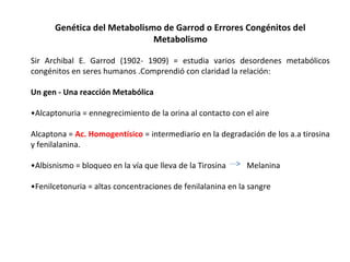 Genética del Metabolismo de Garrod o Errores Congénitos del
Metabolismo
Sir Archibal E. Garrod (1902- 1909) = estudia varios desordenes metabólicos
congénitos en seres humanos .Comprendió con claridad la relación:
Un gen - Una reacción Metabólica
•Alcaptonuria = ennegrecimiento de la orina al contacto con el aire
Alcaptona = Ac. Homogentísico = intermediario en la degradación de los a.a tirosina
y fenilalanina.
•Albisnismo = bloqueo en la vía que lleva de la Tirosina Melanina
•Fenilcetonuria = altas concentraciones de fenilalanina en la sangre
 