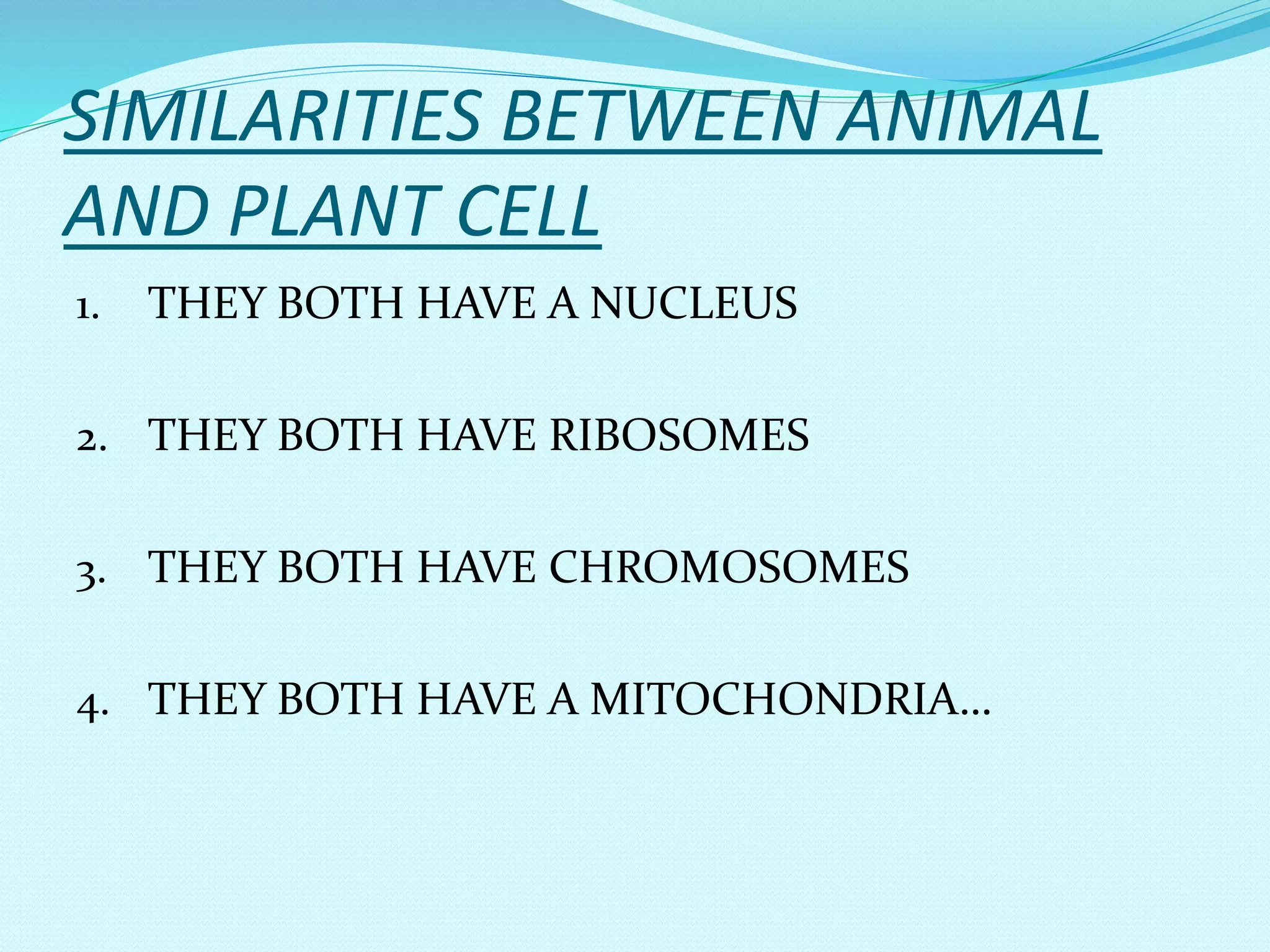 SIMILARITIES BETWEEN ANIMAL
AND PLANT CELL
1. THEY BOTH HAVE A NUCLEUS
2. THEY BOTH HAVE RIBOSOMES
3. THEY BOTH HAVE CHROMOSOMES
4. THEY BOTH HAVE A MITOCHONDRIA…