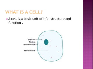  A cell is a basic unit of life ,structure and
function .
 