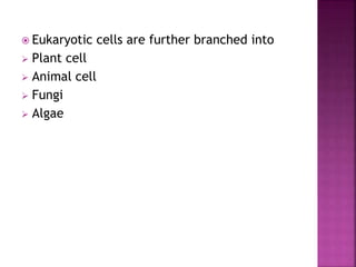 Eukaryotic cells are further branched into
 Plant cell
 Animal cell
 Fungi
 Algae
 