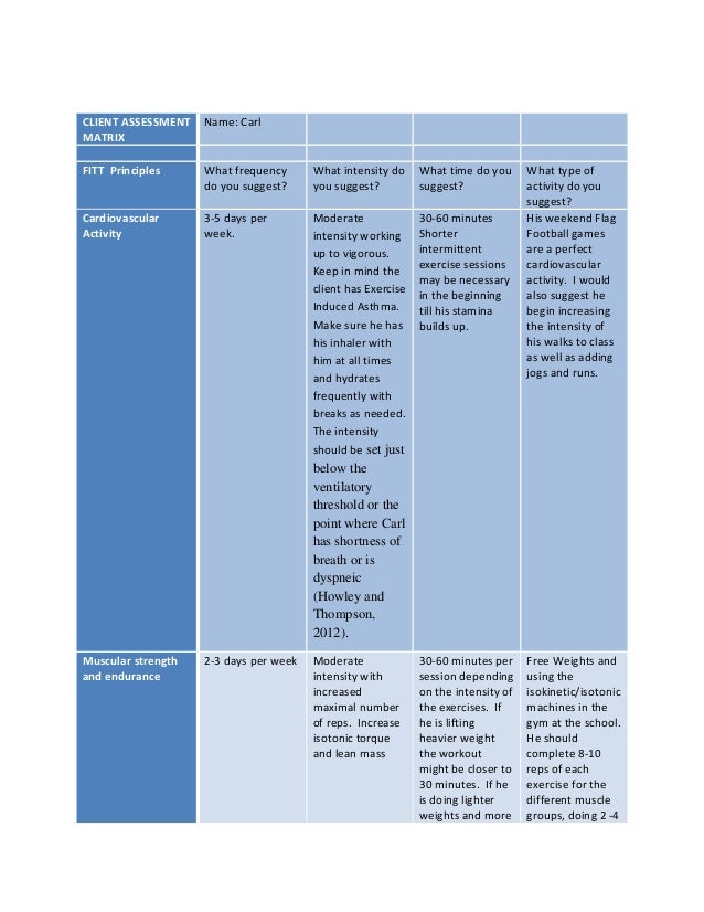 Sample Client Assessment Matrix On The Fitt And Pros Principles
