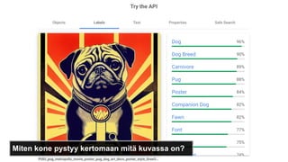 Miten kone pystyy kertomaan mitä kuvassa on?
 