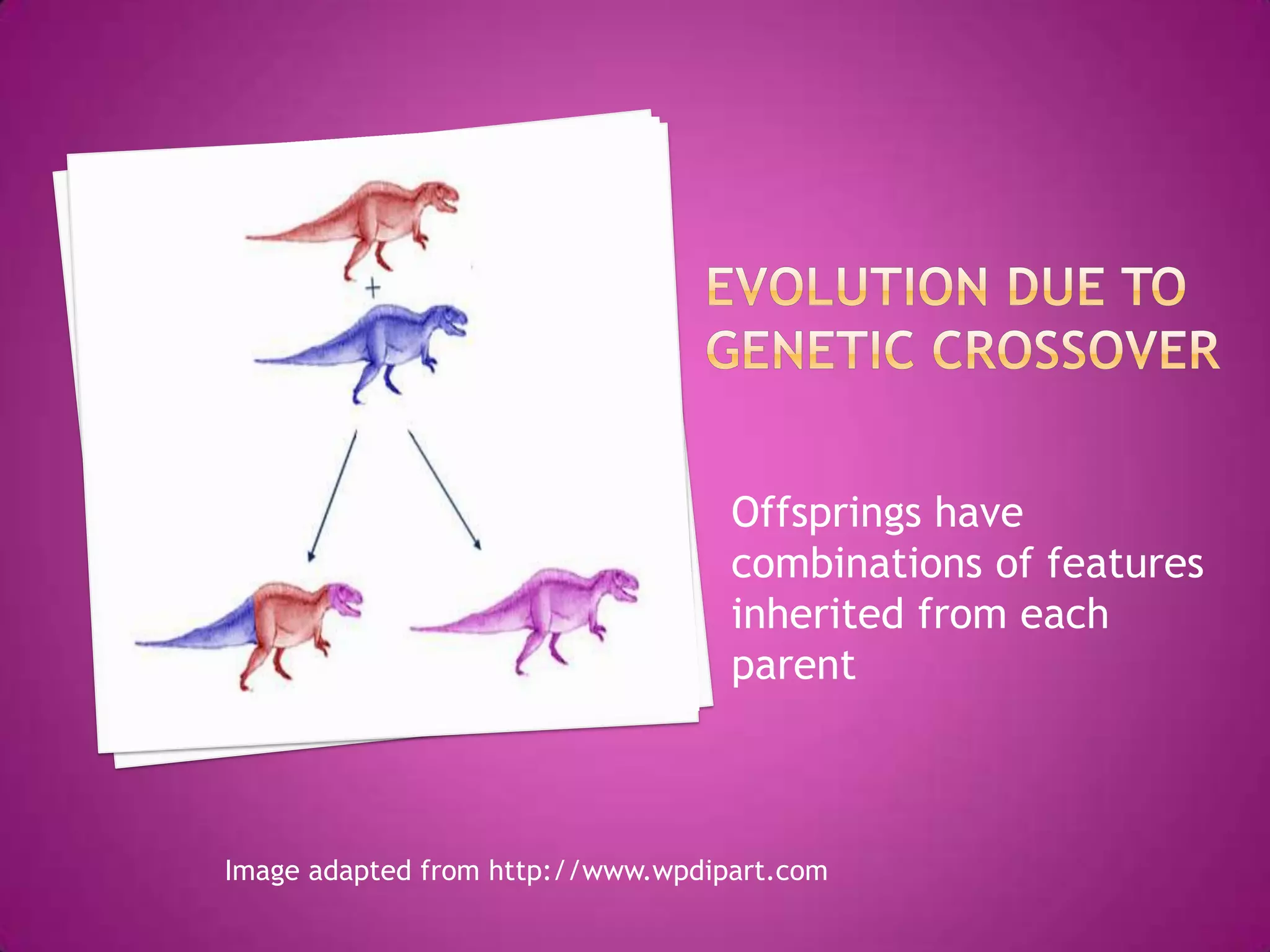 Offsprings have
                                   combinations of features
                                   inherited from each
                                   parent



Image adapted from http://www.wpdipart.com
 