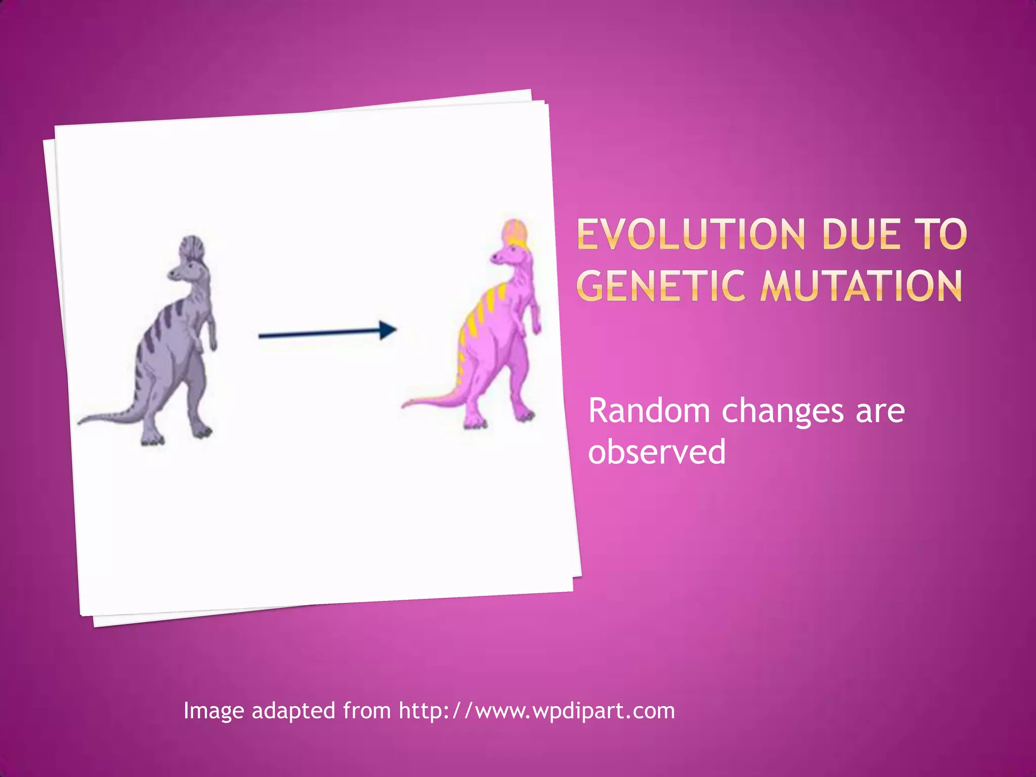 Random changes are
                                  observed




Image adapted from http://www.wpdipart.com
 