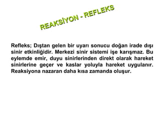 E KS
                            -R EFL
                  İYON
            RE AKS

Refleks; Dıştan gelen bir uyarı sonucu doğan irade dışı
sinir etkinliğidir. Merkezi sinir sistemi işe karışmaz. Bu
eylemde emir, duyu sinirlerinden direkt olarak hareket
sinirlerine geçer ve kaslar yoluyla hareket uygulanır.
Reaksiyona nazaran daha kısa zamanda oluşur.
 