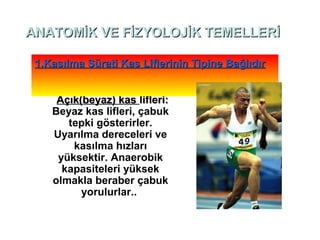 ANATOMİK VE FİZYOLOJİK TEMELLERİ

 1.Kasılma Sürati Kas Liflerinin Tipine Bağlıdır


     Açık(beyaz) kas lifleri:
    Beyaz kas lifleri, çabuk
       tepki gösterirler.
    Uyarılma dereceleri ve
        kasılma hızları
     yüksektir. Anaerobik
      kapasiteleri yüksek
    olmakla beraber çabuk
          yorulurlar..
 