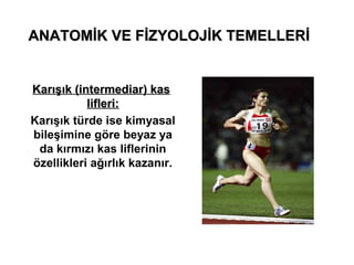 ANATOMİK VE FİZYOLOJİK TEMELLERİ


Karışık (intermediar) kas
           lifleri:
Karışık türde ise kimyasal
bileşimine göre beyaz ya
 da kırmızı kas liflerinin
özellikleri ağırlık kazanır.
 