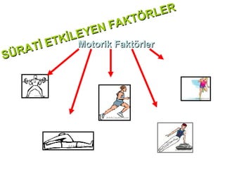 ER
                          ÖRL
                 NF  AKT
            EYE
         KİL Motorik Faktörler
     İ ET
SÜRAT
 1. Kas Kuvveti                                       3.Beceri
                                                      (Koordinasyon)
                            2. Dayanıklılık



                                              5.Kuvvet - Koordinasyon
                                              Düzeyi ve İlişkisi
           4.Hareketlilik
 