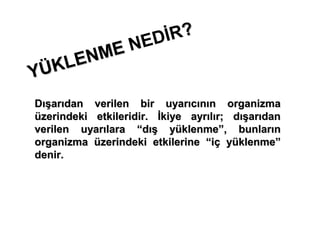 İR?
      ME NED
 ÜKLEN
Y
Dışarıdan verilen bir uyarıcının organizma
üzerindeki etkileridir. İkiye ayrılır; dışarıdan
verilen uyarılara “dış yüklenme”, bunların
organizma üzerindeki etkilerine “iç yüklenme”
denir.
 
