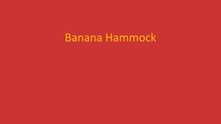 Banana Hammock
 