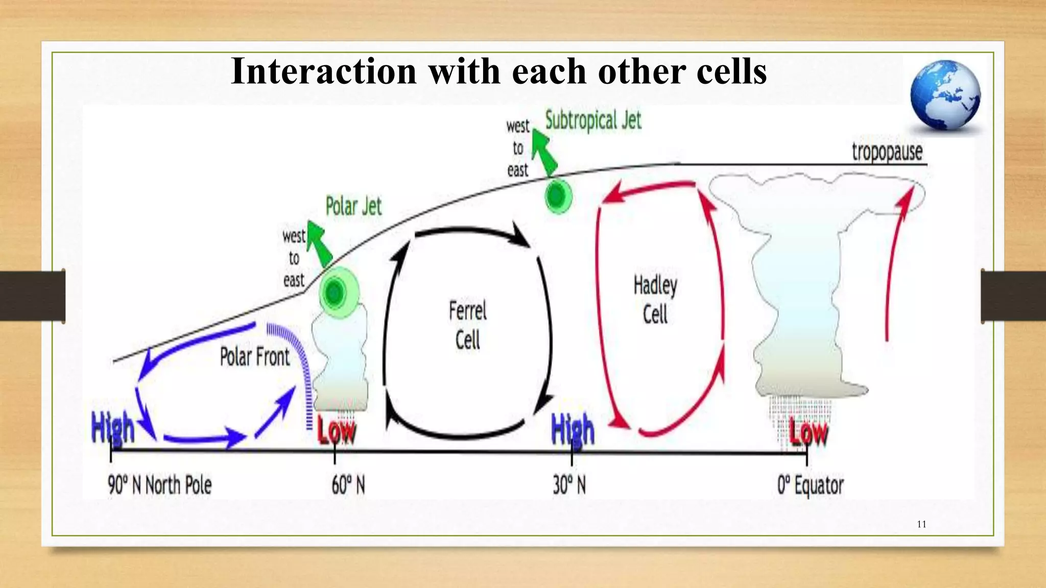 Interaction with each other cells
11
 