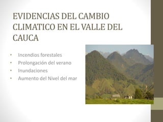 EVIDENCIAS DEL CAMBIO
CLIMATICO EN EL VALLE DEL
CAUCA
• Incendios forestales
• Prolongación del verano
• Inundaciones
• Aumento del Nivel del mar
 
