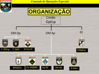 Cmdo
OpEsp
OM Op OM Ap EE
1° BFEsp 1° BAC
B AdmPel PECia DQBRN
CIOpEsp
Dst Ap
3ª Cia FE
BtlOpPsc
ORGANIZAÇÃO
Comando de Operações Especiais
 