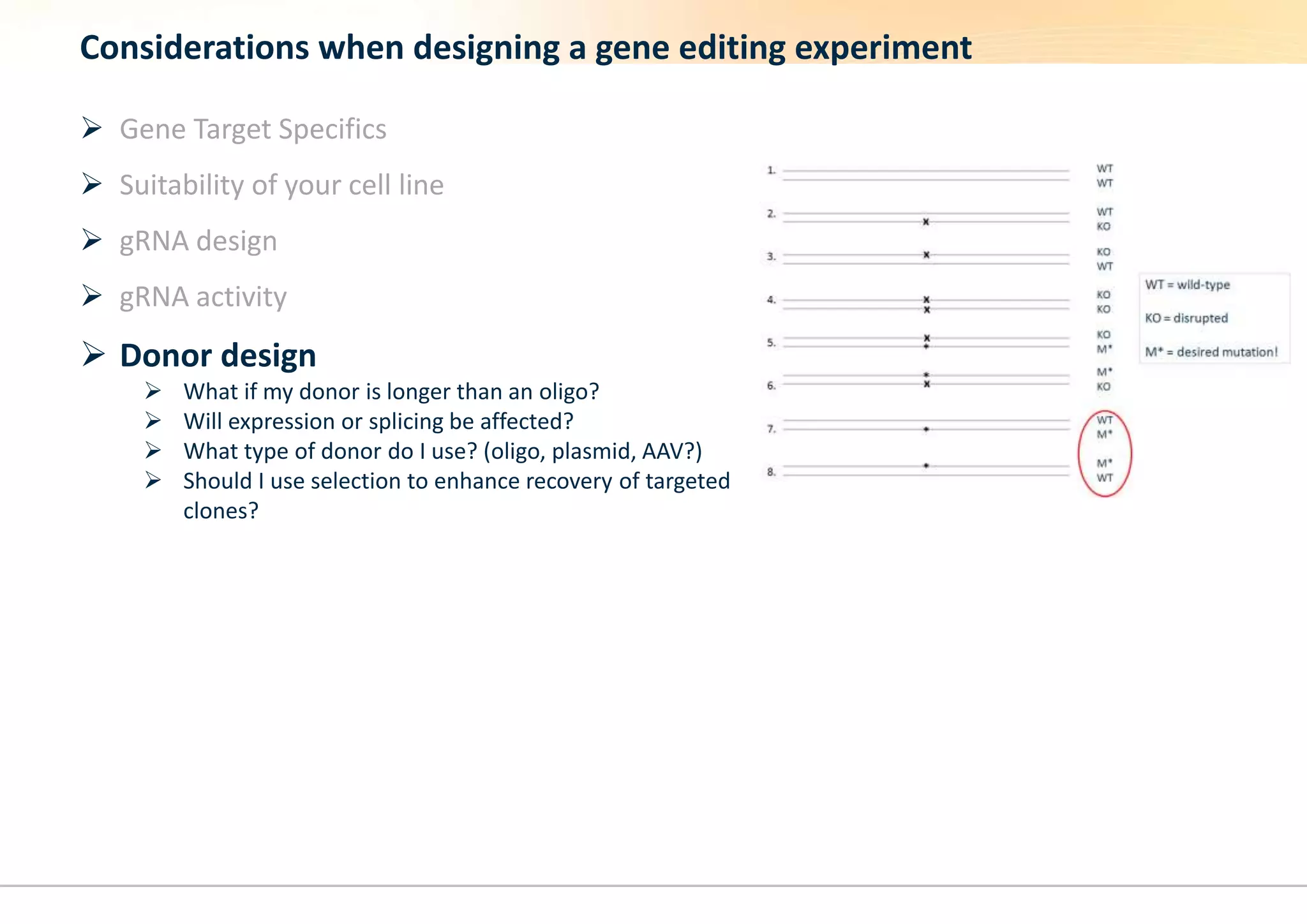 Considerations when designing a gene editing experiment
 Gene Target Specifics
 Suitability of your cell line
 gRNA design
 gRNA activity
 Donor design
 What if my donor is longer than an oligo?
 Will expression or splicing be affected?
 What type of donor do I use? (oligo, plasmid, AAV?)
 Should I use selection to enhance recovery of targeted
clones?
 