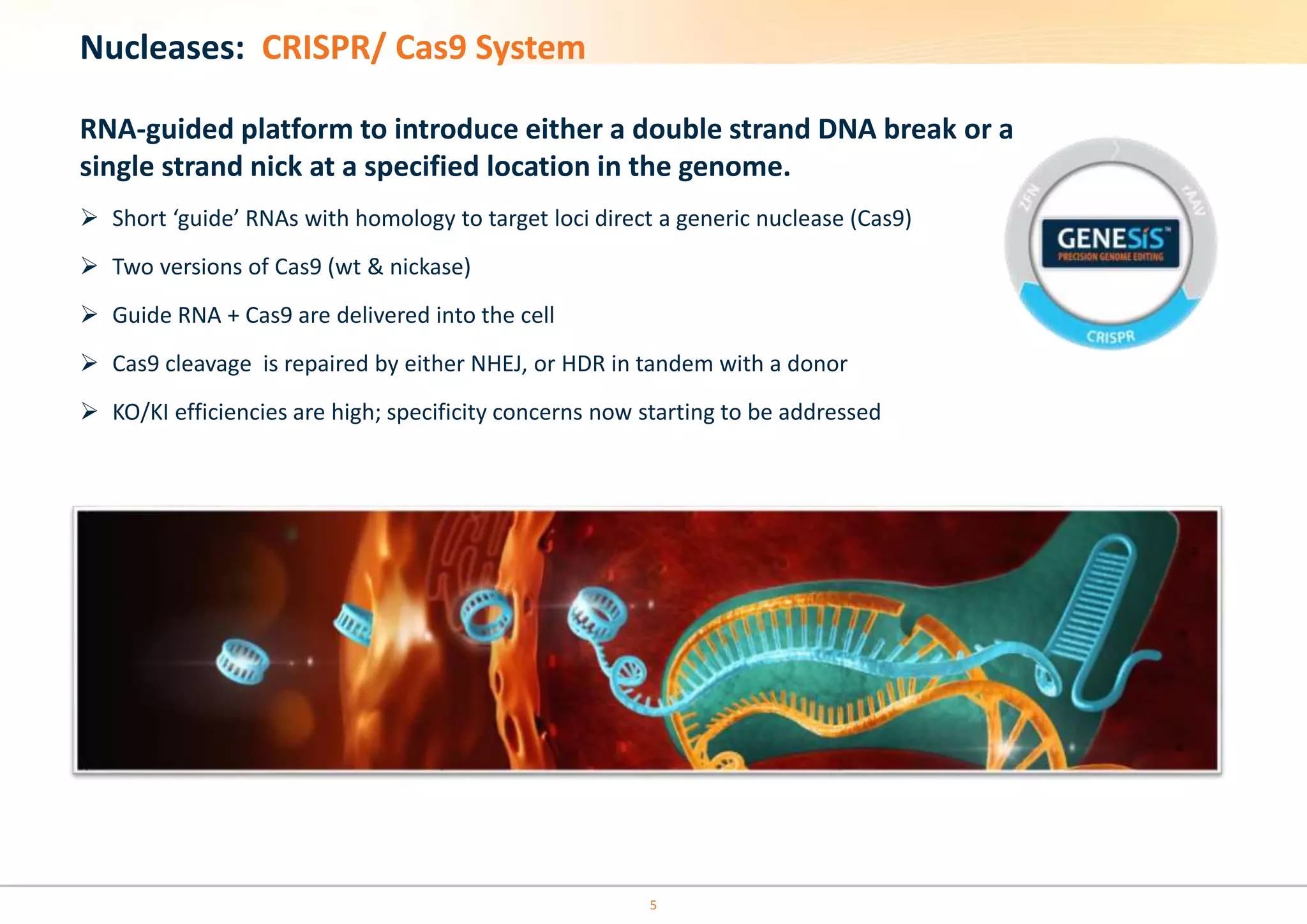 5
Nucleases: CRISPR/ Cas9 System
RNA-guided platform to introduce either a double strand DNA break or a
single strand nick at a specified location in the genome.
 Short ‘guide’ RNAs with homology to target loci direct a generic nuclease (Cas9)
 Two versions of Cas9 (wt & nickase)
 Guide RNA + Cas9 are delivered into the cell
 Cas9 cleavage is repaired by either NHEJ, or HDR in tandem with a donor
 KO/KI efficiencies are high; specificity concerns now starting to be addressed
 