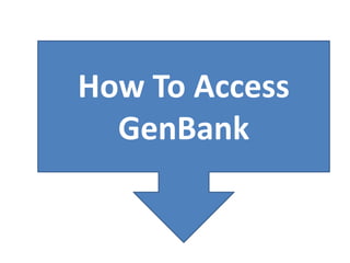 How To Access
GenBank
 
