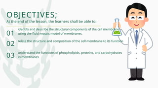 OBJECTIVES;
01
identify and describe the structural components of the cell membrane
using the fluid mosaic model of membranes.
At the end of the lesson, the learners shall be able to:
02
relate the structure and composition of the cell membrane to its function
03
understand the functions of phospholipids, proteins, and carbohydrates
in membranes
 