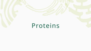 Proteins
 