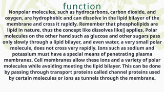 Nonpolar molecules, such as hydrocarbons, carbon dioxide, and
oxygen, are hydrophobic and can dissolve in the lipid bilayer of the
membrane and cross it rapidly. Remember that phospholipids are
lipid in nature, thus the concept like dissolves like‖ applies. Polar
molecules on the other hand such as glucose and other sugars pass
only slowly through a lipid bilayer, and even water, a very small polar
molecule, does not cross very rapidly. Ions such as sodium and
potassium must have a special means of penetrating plasma
membranes. Cell membranes allow these ions and a variety of polar
molecules while avoiding meeting the lipid bilayer. This can be done
by passing through transport proteins called channel proteins used
by certain molecules or ions as tunnels through the membrane.
function
 