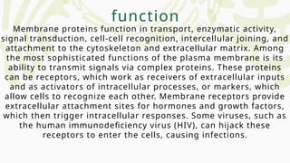 Membrane proteins function in transport, enzymatic activity,
signal transduction, cell-cell recognition, intercellular joining, and
attachment to the cytoskeleton and extracellular matrix. Among
the most sophisticated functions of the plasma membrane is its
ability to transmit signals via complex proteins. These proteins
can be receptors, which work as receivers of extracellular inputs
and as activators of intracellular processes, or markers, which
allow cells to recognize each other. Membrane receptors provide
extracellular attachment sites for hormones and growth factors,
which then trigger intracellular responses. Some viruses, such as
the human immunodeficiency virus (HIV), can hijack these
receptors to enter the cells, causing infections.
function
 