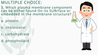 MULTIPLE CHOICE:
3. Which plasma membrane component
can be either found On its SURrface or
embedded in the membrane structure?
a. protein
b. cholesterol
c. carbohydrate
d. phospholipid
 