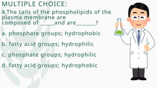 MULTIPLE CHOICE:
4.The tails of the phospholipids of the
plasma membrane are
composed of _____and are_______?
a. phosphate groups; hydrophobic
b. fatty acid groups; hydrophilic
c. phosphate groups; hydrophilic
d. fatty acid groups; hydrophobic
 