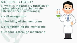 MULTIPLE CHOICE:
5. What is the primary function of
carbohydrates attached to the
exterior of cell membranes?
a. cell recognition
b. flexibility of the membrane
c. strengthening the membrane
d. channels through membrane
 