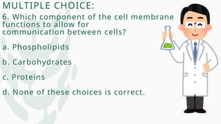 MULTIPLE CHOICE:
6. Which component of the cell membrane
functions to allow for
communication between cells?
a. Phospholipids
b. Carbohydrates
c. Proteins
d. None of these choices is correct.
 