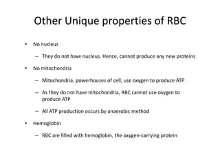 Other Unique properties of RBC
• No nucleus
– They do not have nucleus. Hence, cannot produce any new proteins
• No mitochondria
– Mitochondria, powerhouses of cell, use oxygen to produce ATP
– As they do not have mitochondria, RBC cannot use oxygen to
produce ATP
– All ATP production occurs by anaerobic method
• Hemoglobin
– RBC are filled with hemoglobin, the oxygen-carrying protein
 