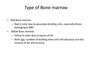 Type of Bone marrow
• Red Bone marrow
– Red in color due to abundant dividing cells, especially those
belonging to RBC
• Yellow Bone marrow
– Yellow in color due to excess of fat
– With age, number of dividing stem cells will decrease and the
amount of fat will increase
 