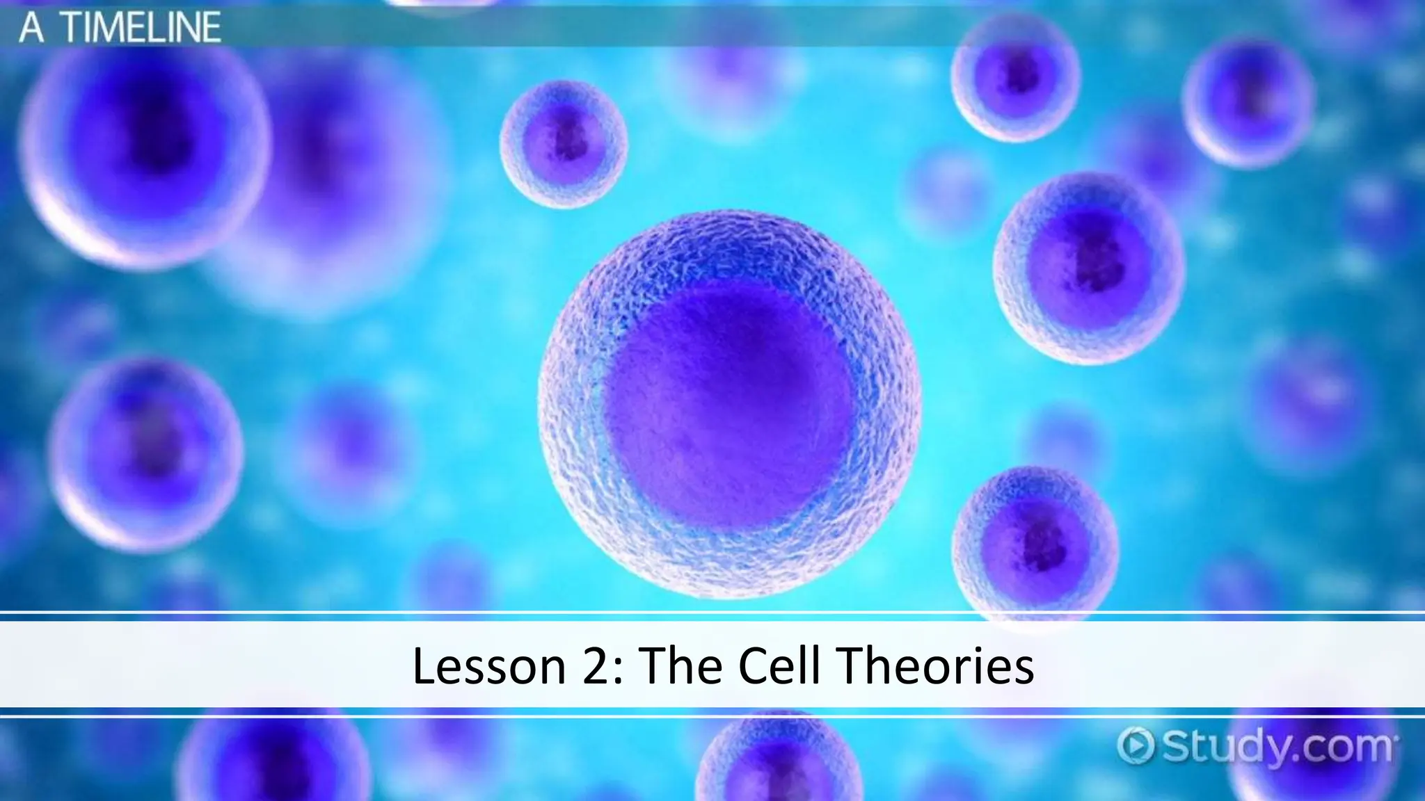 Lesson 2: The Cell Theories
 