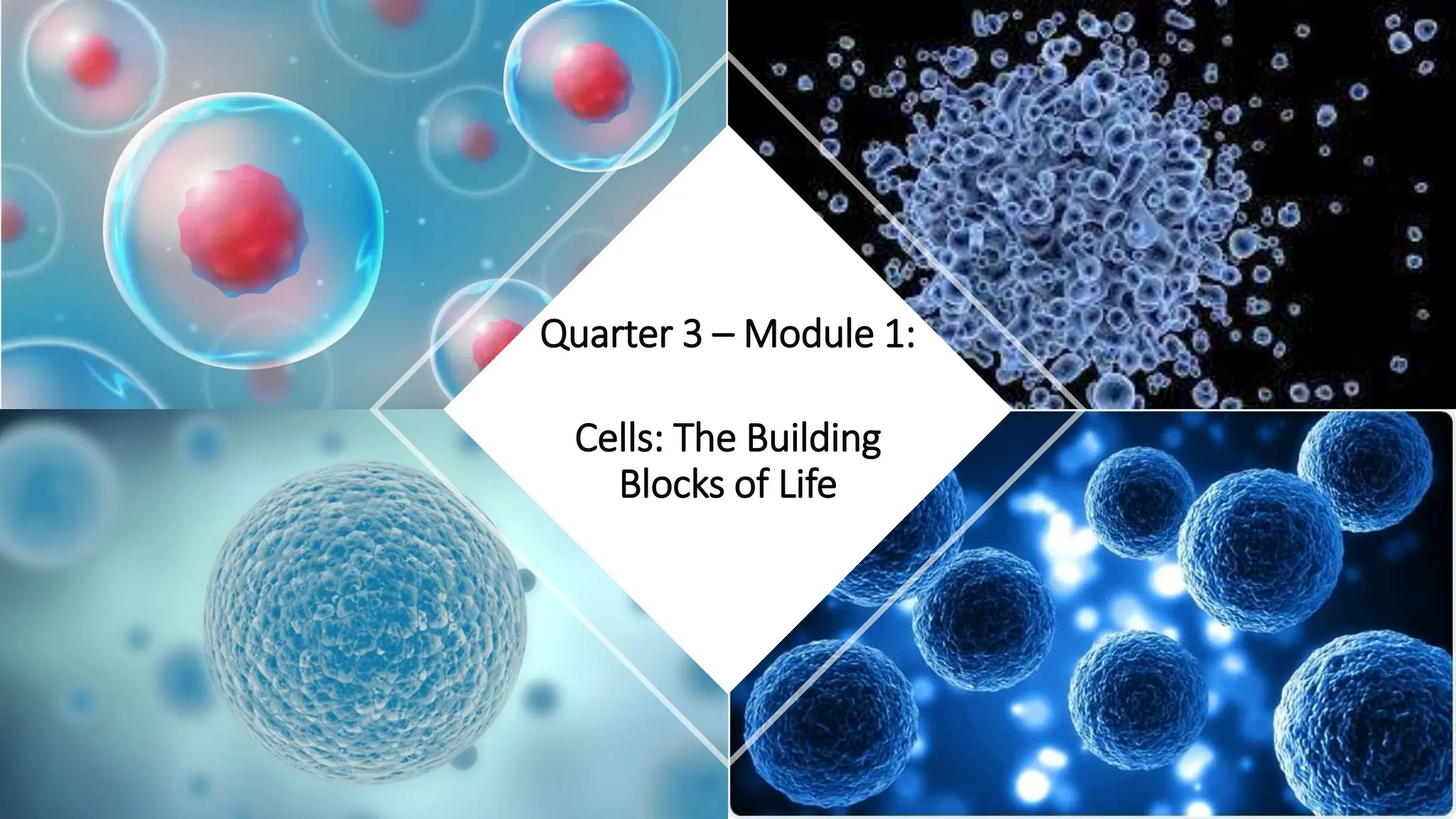 Quarter 3 – Module 1:
Cells: The Building
Blocks of Life
 