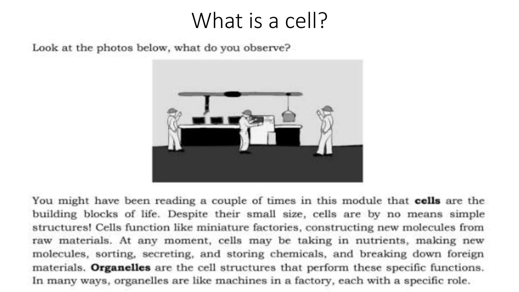What is a cell?
 