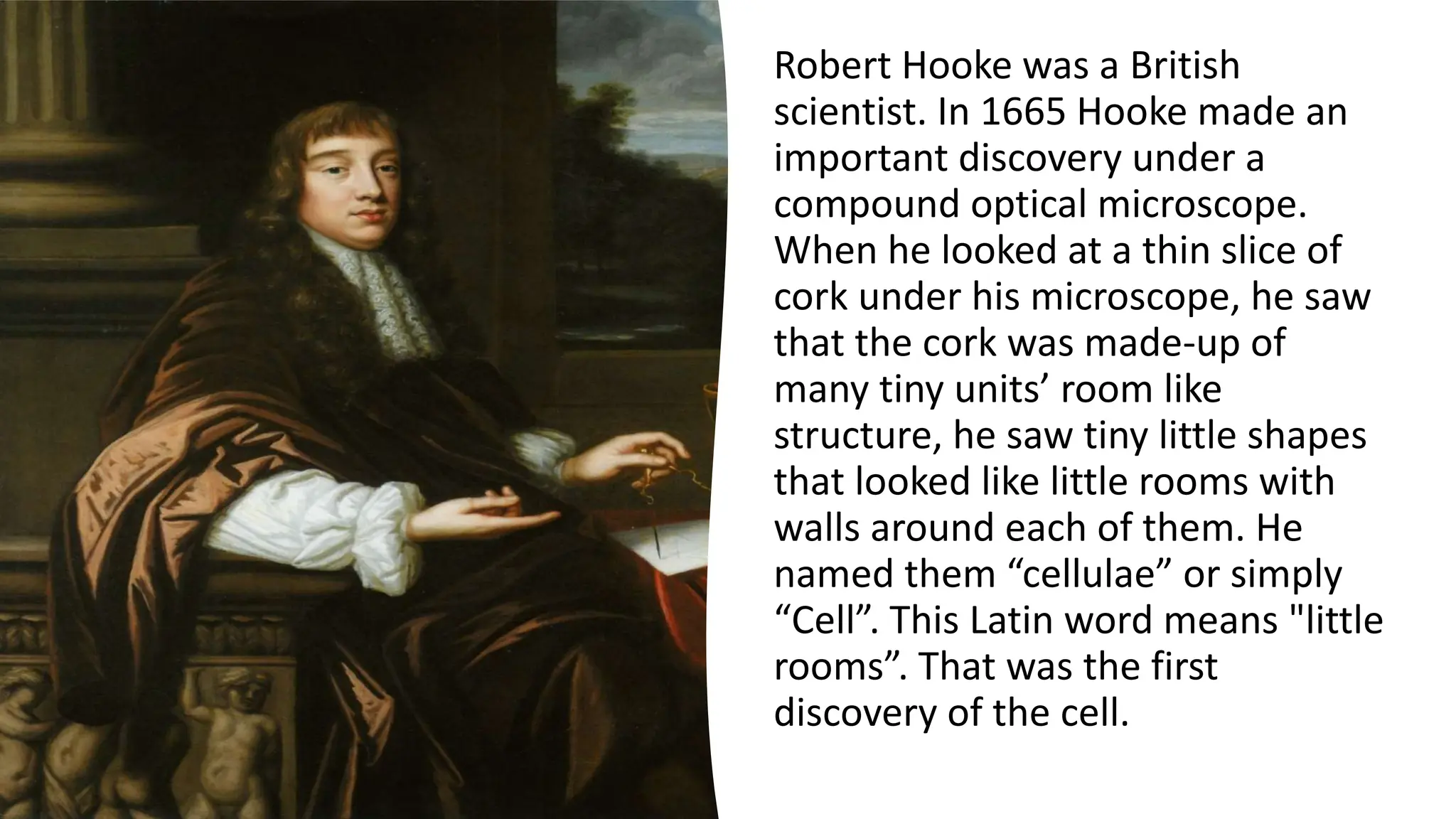 Robert Hooke was a British
scientist. In 1665 Hooke made an
important discovery under a
compound optical microscope.
When he looked at a thin slice of
cork under his microscope, he saw
that the cork was made-up of
many tiny units’ room like
structure, he saw tiny little shapes
that looked like little rooms with
walls around each of them. He
named them “cellulae” or simply
“Cell”. This Latin word means "little
rooms”. That was the first
discovery of the cell.
 