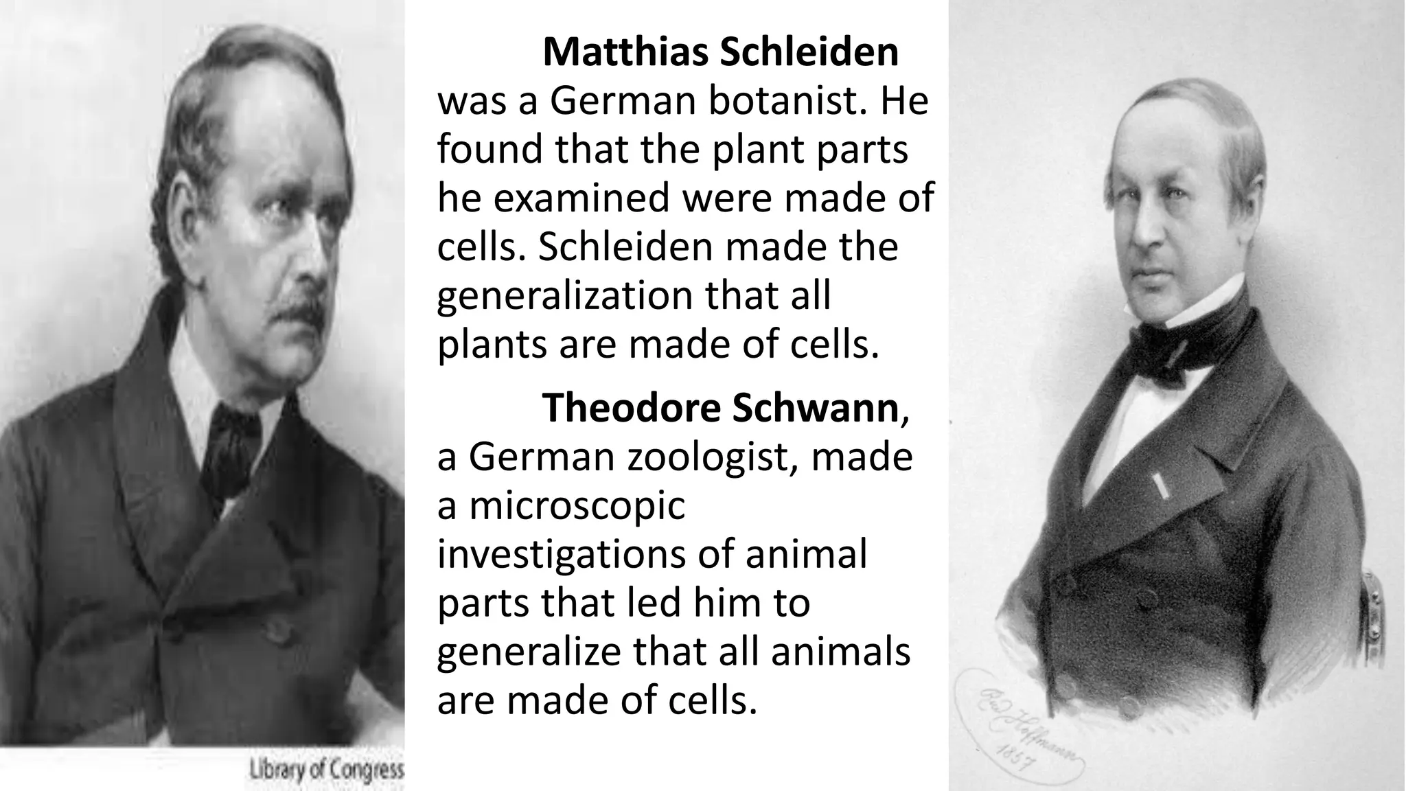 Matthias Schleiden
was a German botanist. He
found that the plant parts
he examined were made of
cells. Schleiden made the
generalization that all
plants are made of cells.
Theodore Schwann,
a German zoologist, made
a microscopic
investigations of animal
parts that led him to
generalize that all animals
are made of cells.
 