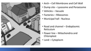 • Arch – Cell Membrane and Cell Wall
• Dump site – Lysosome and Peroxisome
• Vehicles – Vacuole
• Factories – Ribosomes
• Municipal hall - Nucleus
• Road and channel – Endoplasmic
Reticulum
• Power line – Mitochondria and
Chloroplast
• Land – Cytoplasm
 