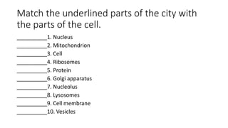 Match the underlined parts of the city with
the parts of the cell.
__________1. Nucleus
__________2. Mitochondrion
__________3. Cell
__________4. Ribosomes
__________5. Protein
__________6. Golgi apparatus
__________7. Nucleolus
__________8. Lysosomes
__________9. Cell membrane
__________10. Vesicles
 