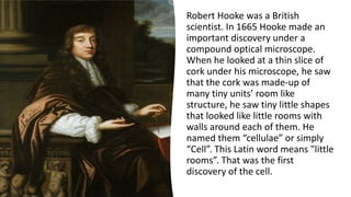 Robert Hooke was a British
scientist. In 1665 Hooke made an
important discovery under a
compound optical microscope.
When he looked at a thin slice of
cork under his microscope, he saw
that the cork was made-up of
many tiny units’ room like
structure, he saw tiny little shapes
that looked like little rooms with
walls around each of them. He
named them “cellulae” or simply
“Cell”. This Latin word means "little
rooms”. That was the first
discovery of the cell.
 