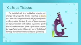 Cells as Tissues.
 
